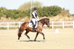 SBM_017354