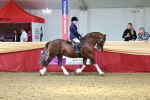 SBM_23343