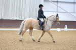 SBM_000231