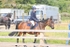 BPP_1279