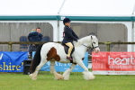 SBM_00971