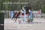 BPP_1548