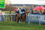 281224-Race 5-Poetry Man-1687
