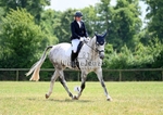 Area 6 Summer Dressage at BCA - 15-06-25 portfolio