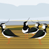 Lapwings
