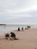 HSC006: Beach Transect