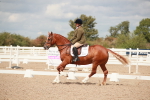 SBM_05864