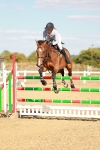 SBM_007971