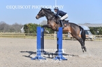 BPP_7592