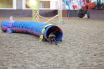 SBM_004496