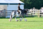 SBM_11491