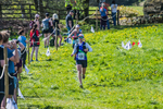 The Finish-530