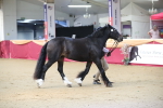 SBM_00596