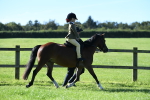 SBM_36764