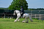 SBM_09333