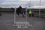 BPP_1174