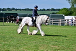 SBM_09393