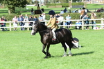 SBM_50363