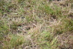 WJ6_5828