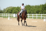 SBM_009646