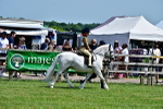 SBM_05887