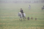 WJ6_6743