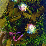 ENTROPY TRIPTYCH X-Xll