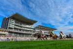 230923-Race 5-Vintage Clarets-3322