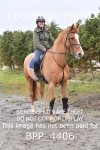 CLASS 3 138cm Pony Royal Highland Show Championship Qualifier portfolio