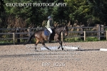 BPP_8226