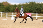 SBM_011929