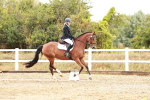 SBM_001238