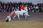 SBM_004673