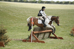 BVHT 140517  IXC -453