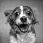 Gold - Happy face - Sara Josey