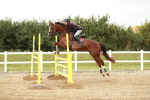 SBM_006612