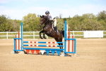 SBM_002537