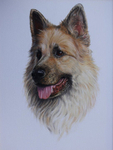 Alfie