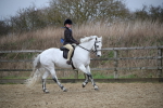 SBM_006106
