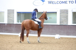 SBM_000605