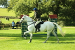 SBM_39279