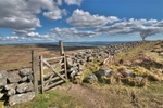 Sea view from Dartmoor