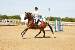 SBM_002630
