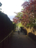 Leigh Hill Two