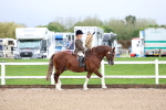 SBM_00212