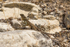 20150612-8E0A9593
