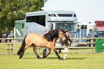 SBM_00807