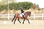 SBM_010924