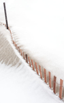 WINTER SAND FENCE - LONG POINT BEACH