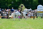 SBM_07846